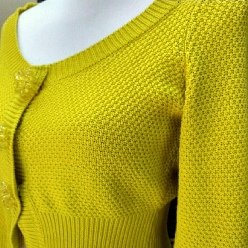 Guinevere Anthropologie crop cardigan sweater